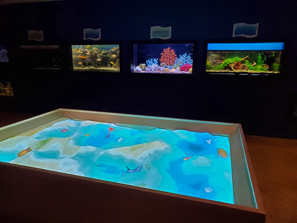 Las Vegas Natural History Museum Ticket Discount